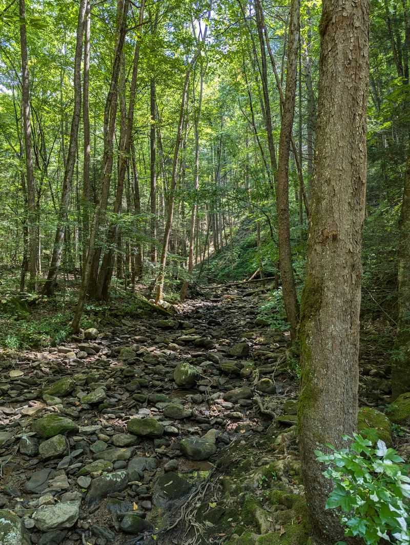 Frozen Head State Park