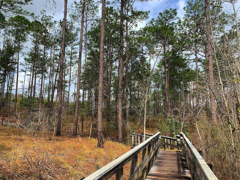 Sinkhole Boardwalk Trail