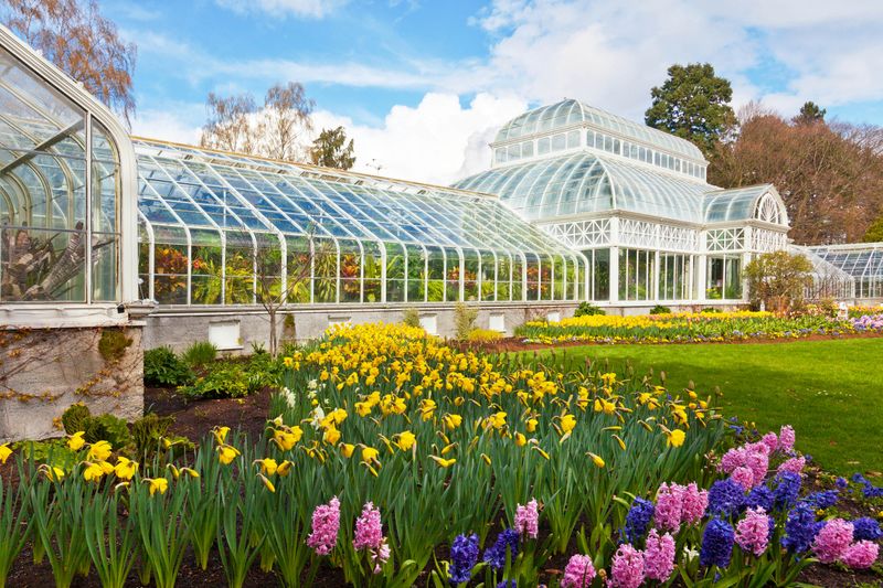 Wander Through the Volunteer Park Conservatory