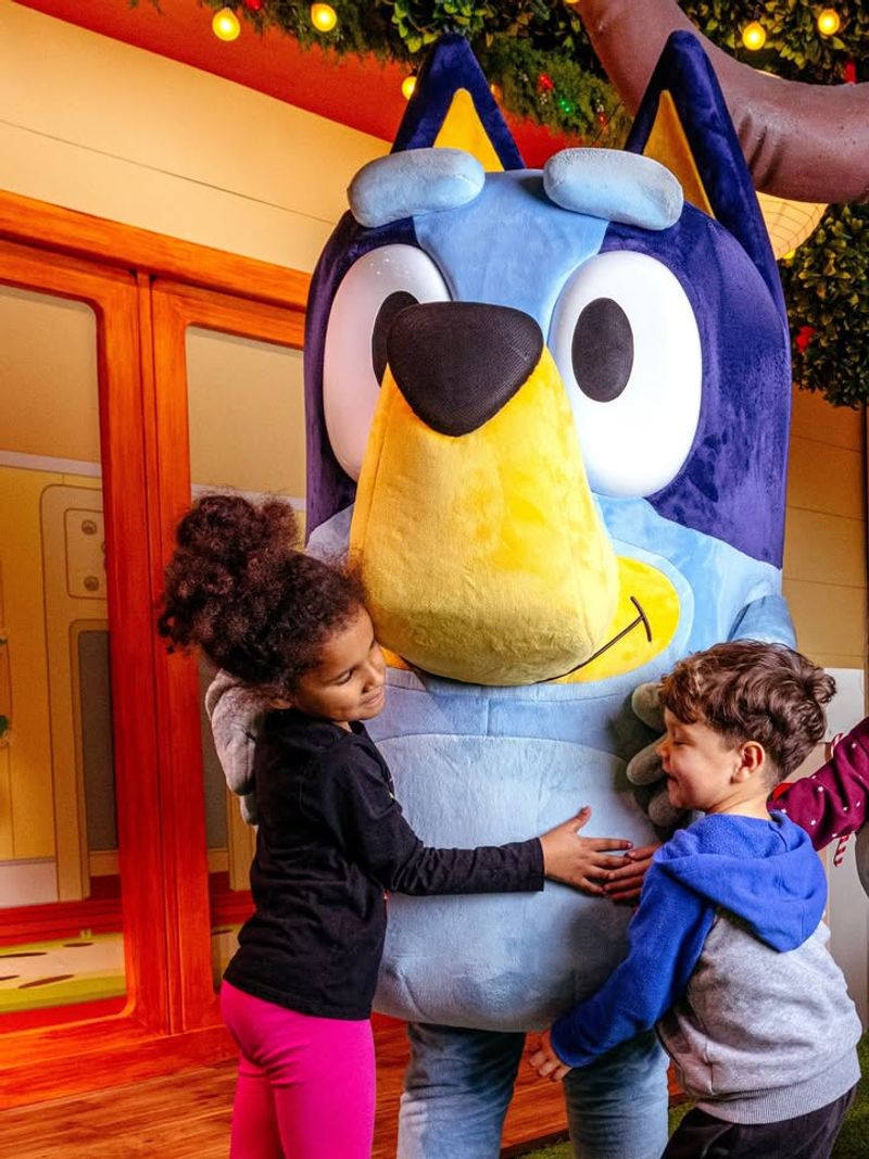 Welcome to Bluey’s Brisbane Entry