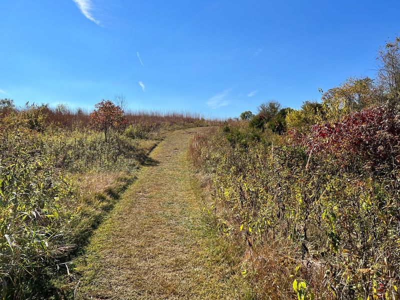 Seven Islands State Birding Park
