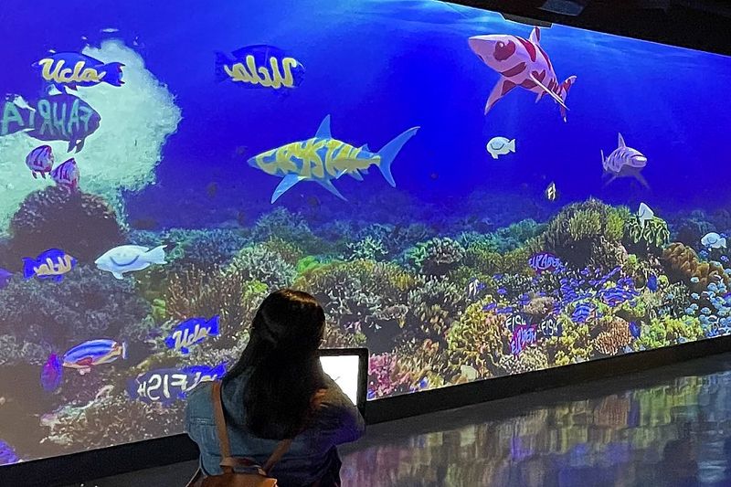 Explore the Aquarium of the Pacific