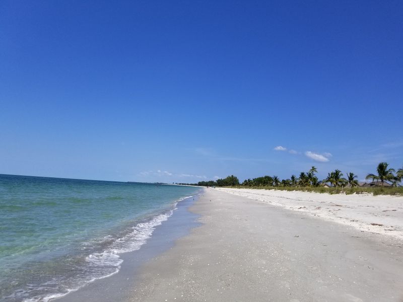 Fort Myers Coast