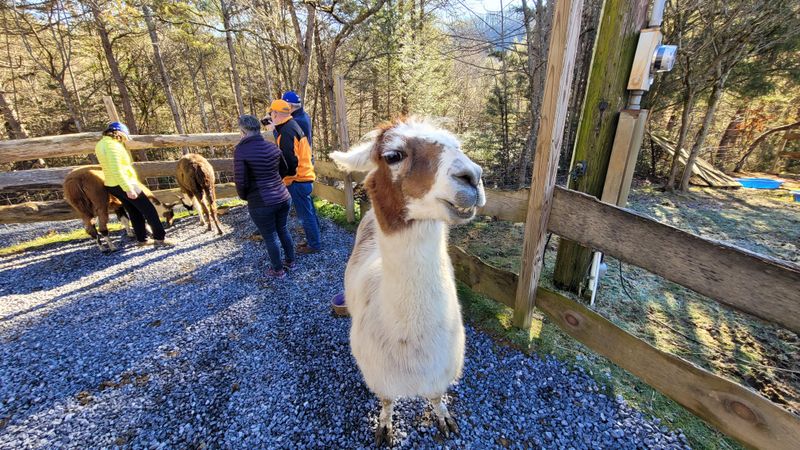 Where Is This Hidden Gem in Tennessee?