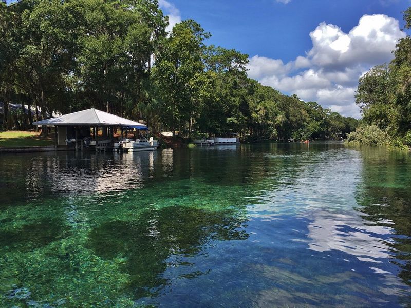 Rainbow River / Rainbow Springs area (Dunnellon)