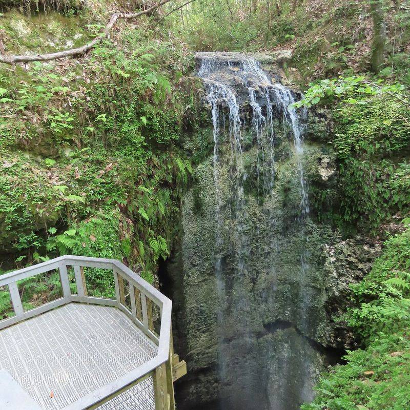 Falling Waters State Park (Chipley)