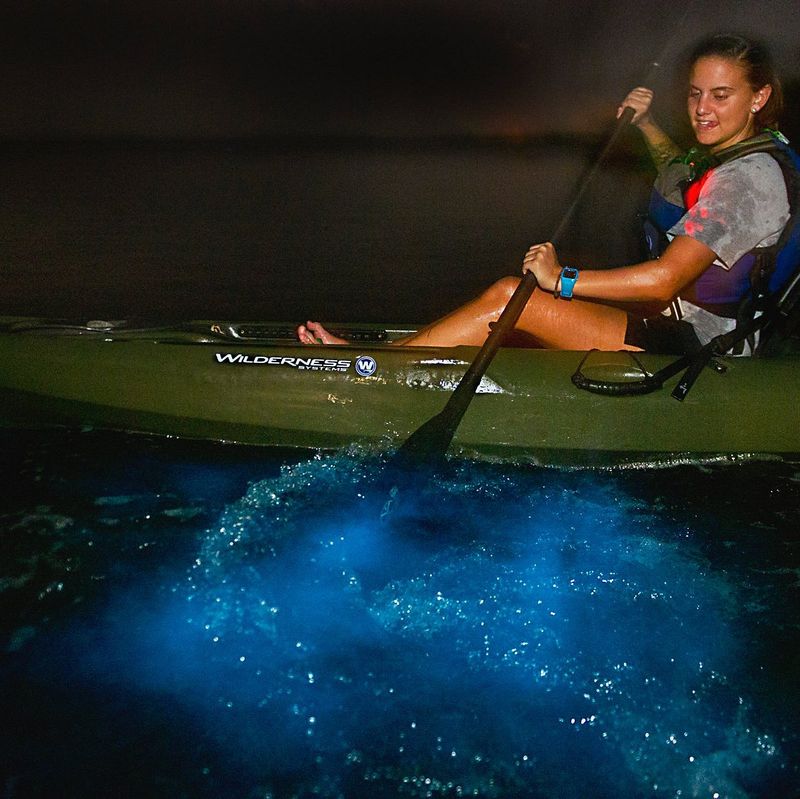 Paddle Through Bioluminescent Water at Night