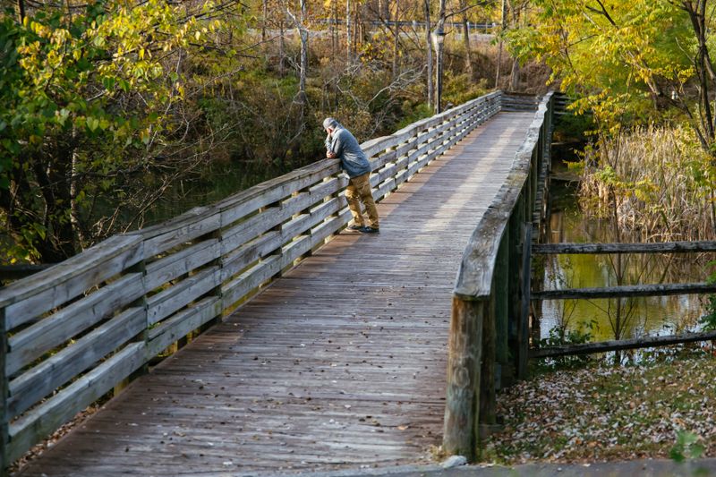 Erwin Linear Trail for Easy Wandering