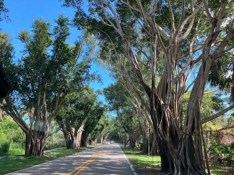 Best Times To Cruise