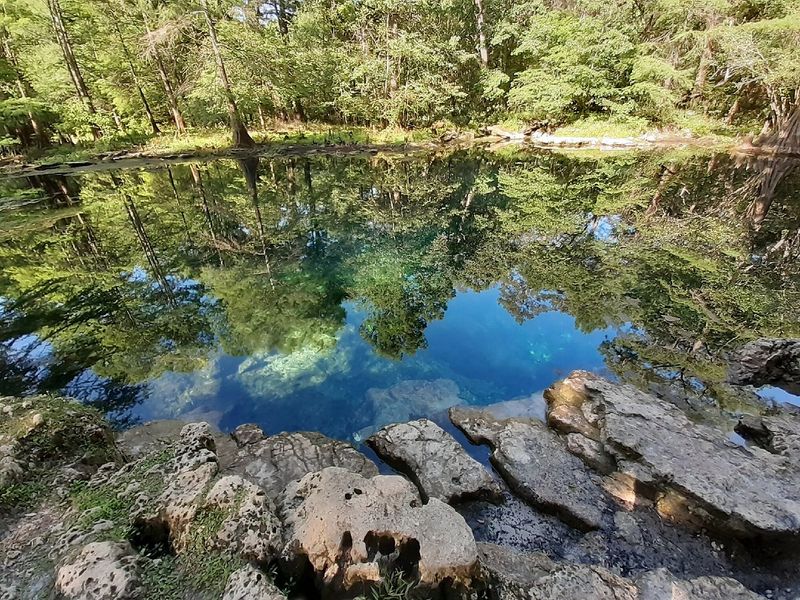 Wes Skiles Peacock Springs State Park (North Florida)