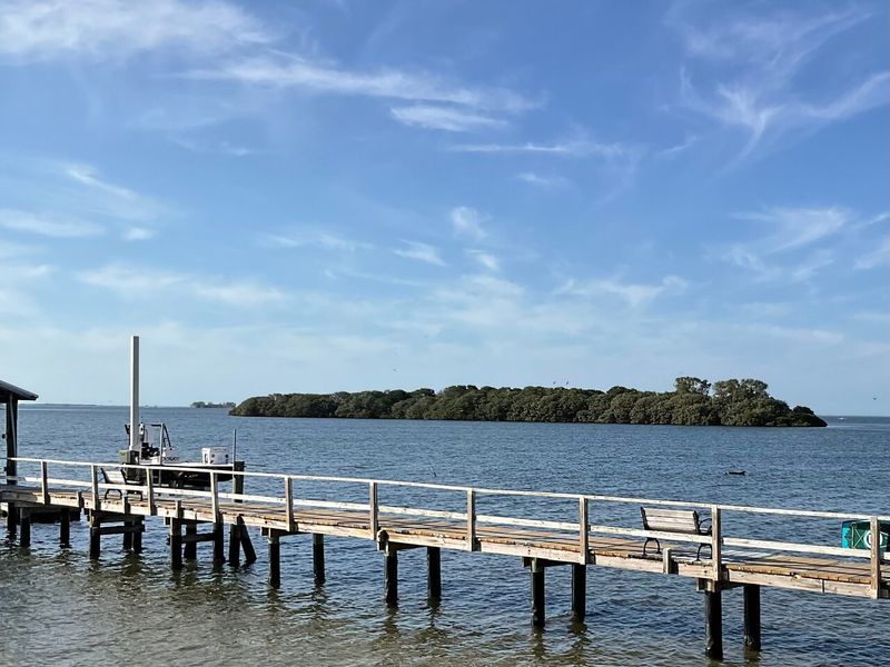 Ozona (near Palm Harbor)