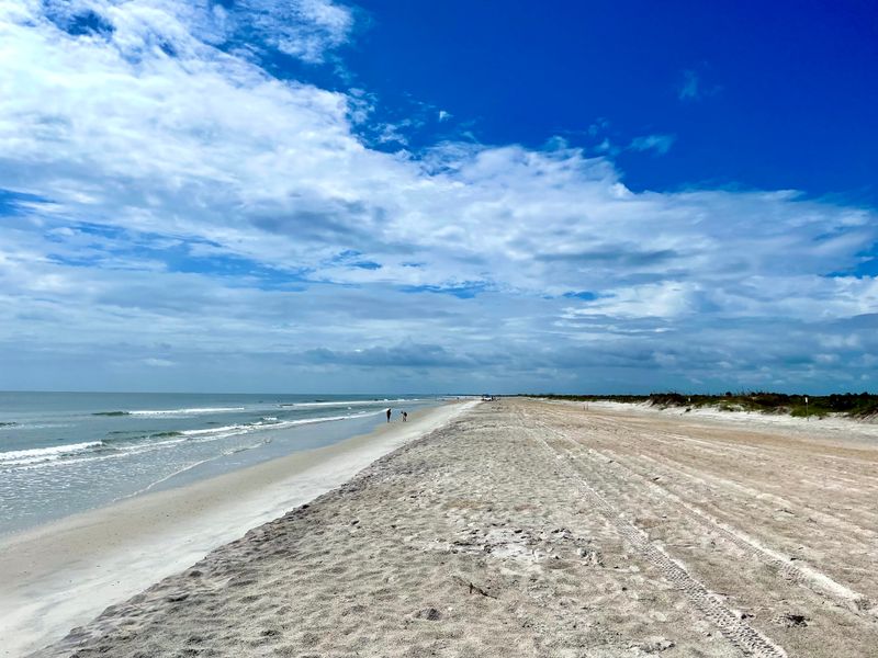 Little Talbot Island State Park (Jacksonville Area)
