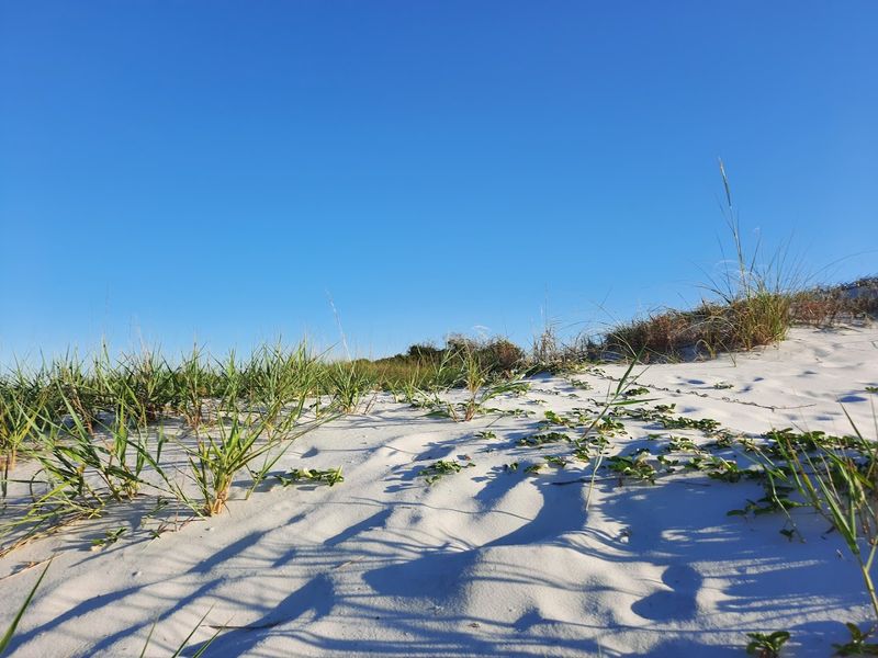 Hiking the Dunes and Trails