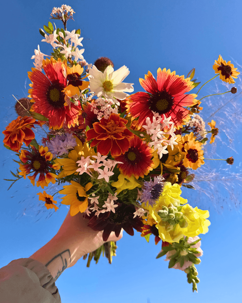 4Roots Spring Flower Festival (Orlando)