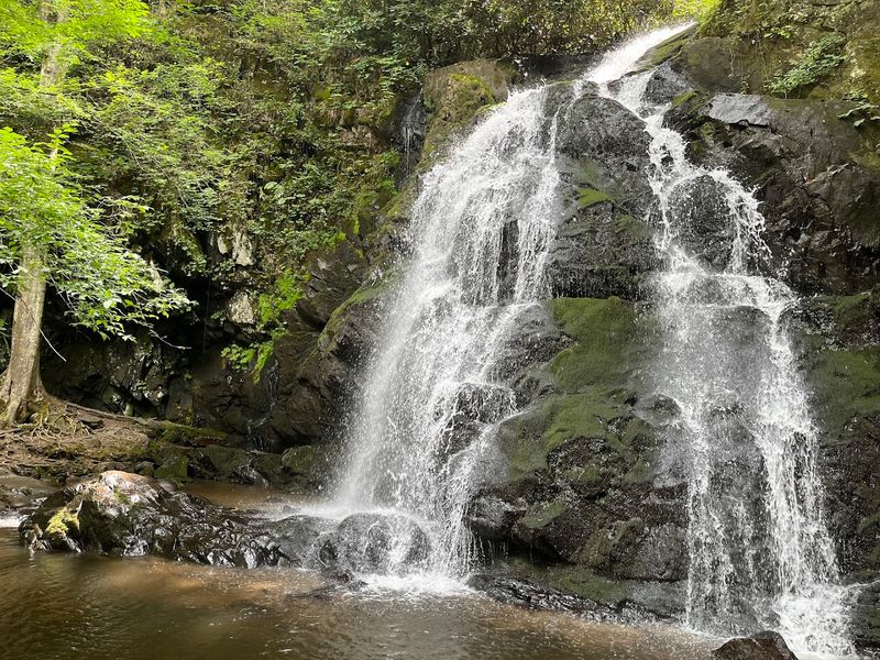 Spruce Flat Falls Trail (Townsend)