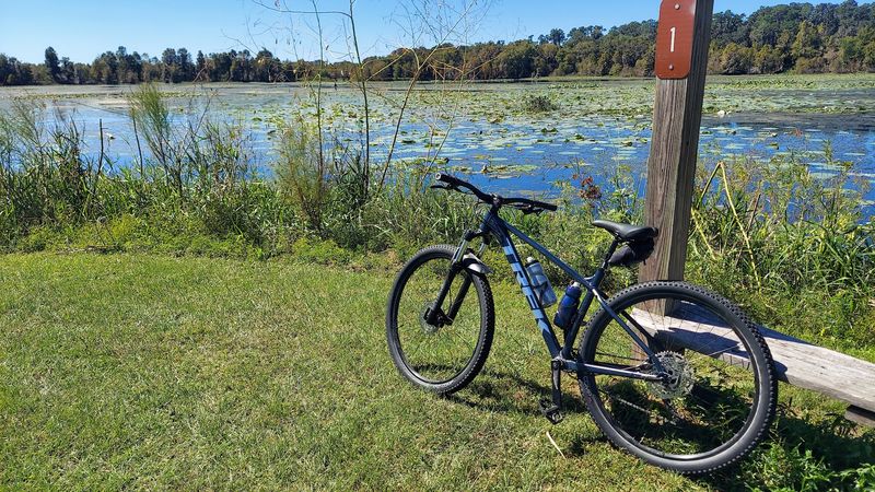 Grayton Beach State Park — Alligator Lake + Little Redfish Lake