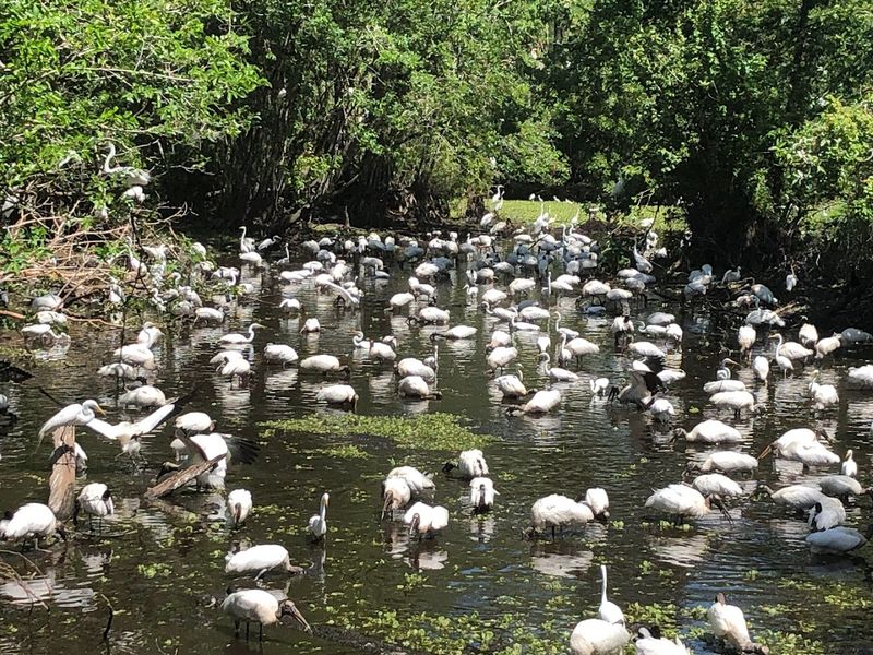 Photo Gear and Settings That Work Here