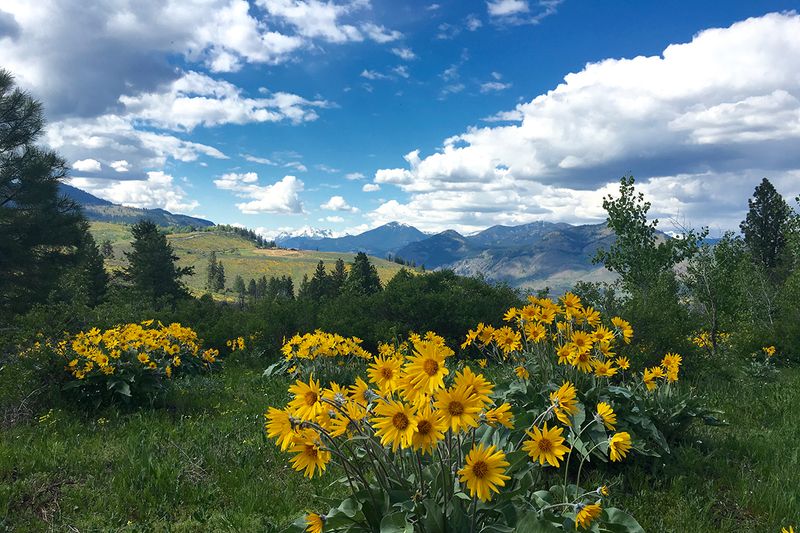 Twisp: Gateway to the Methow Valley