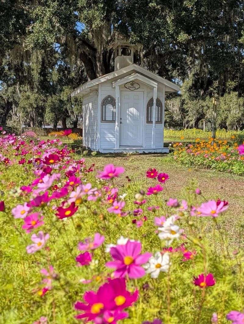 Picture-Perfect Spots