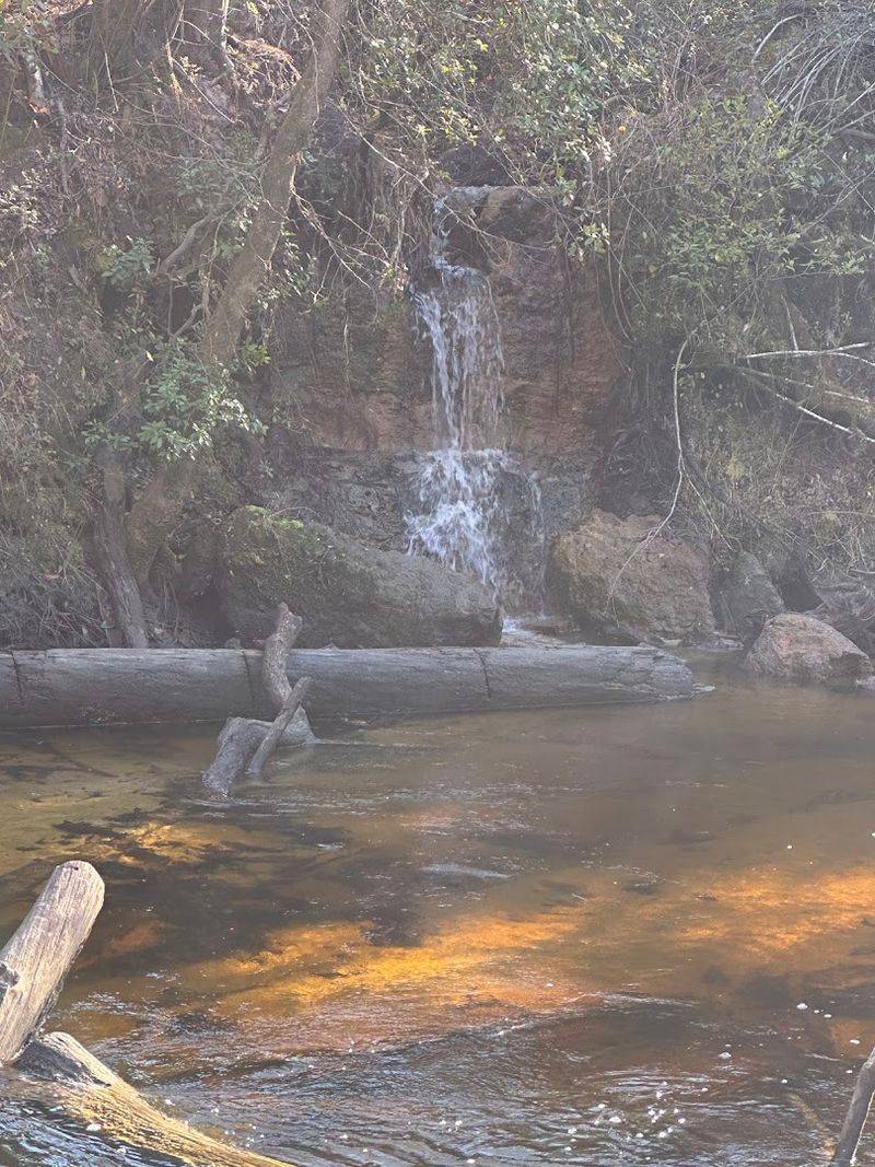 Econfina Creek Falls (Panhandle)