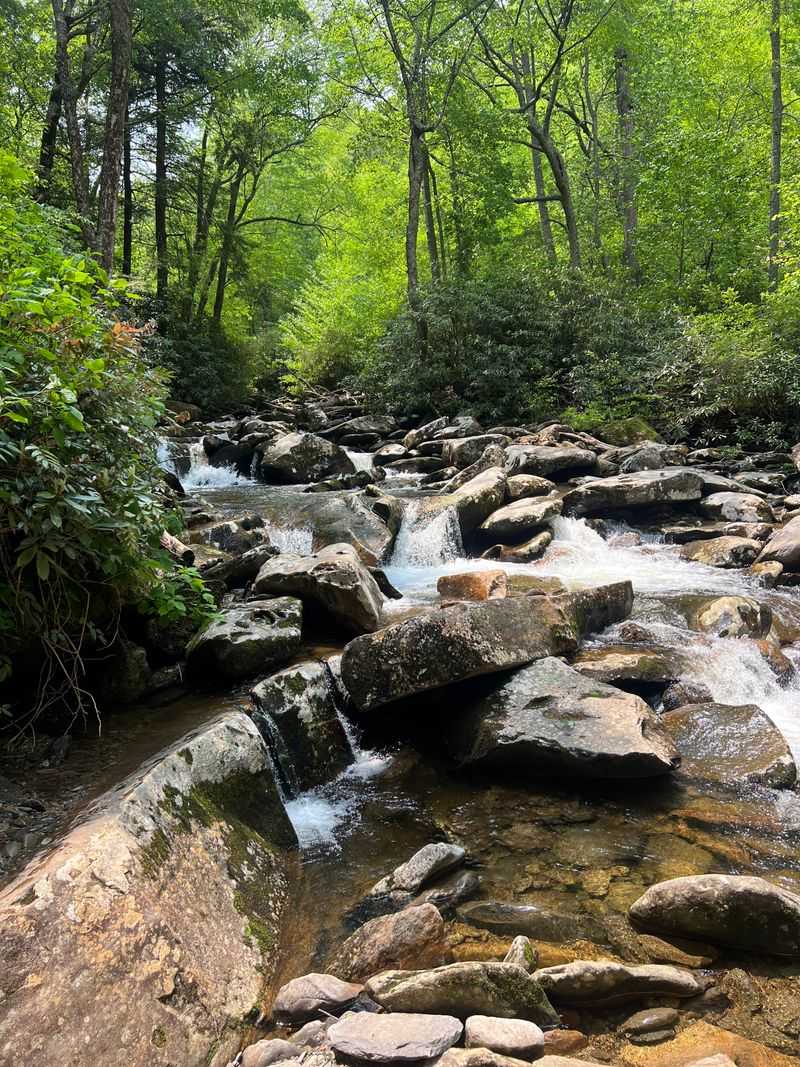 Best Time of Year to Visit Grotto Falls