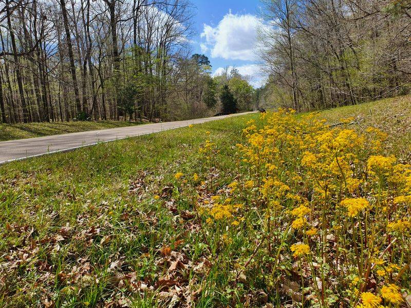 The Natchez Trace Parkway (Middle/West Tennessee)
