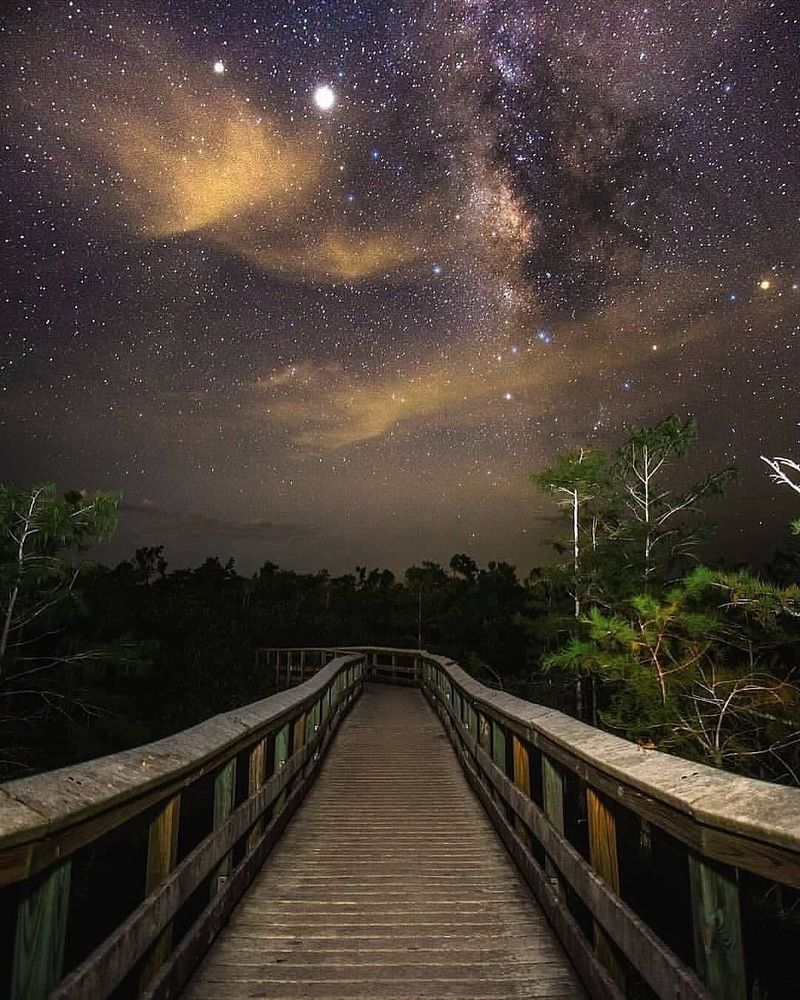 Everglades National Park (Flamingo + Shark Valley areas)