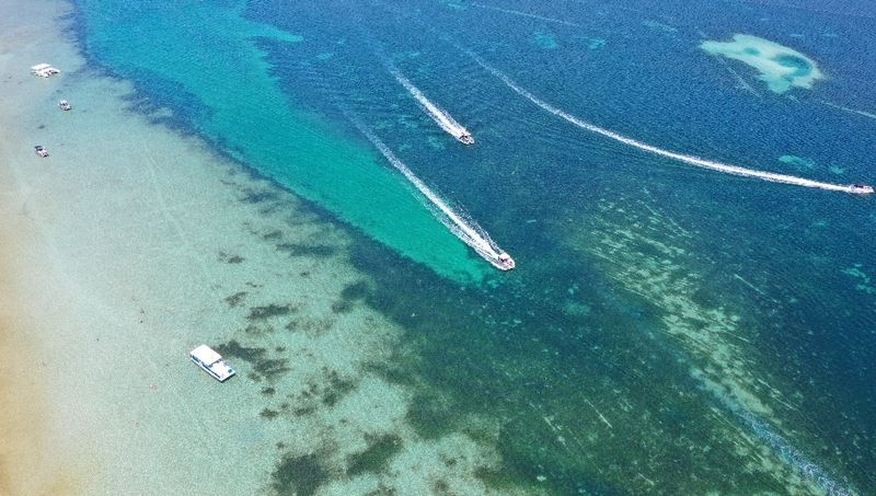 Activities: Float, Snorkel, And Play