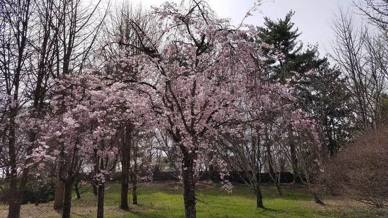 Knoxville Botanical Garden & Arboretum &mdash; Knoxville