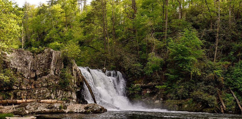 Abrams Falls Trail