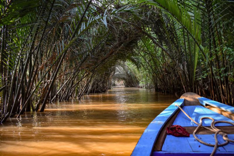 The Florida Keys mangroves at dusk in summer