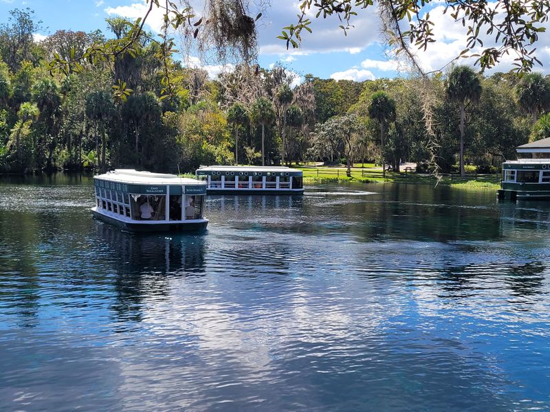 Insider Tips For A Smooth Visit