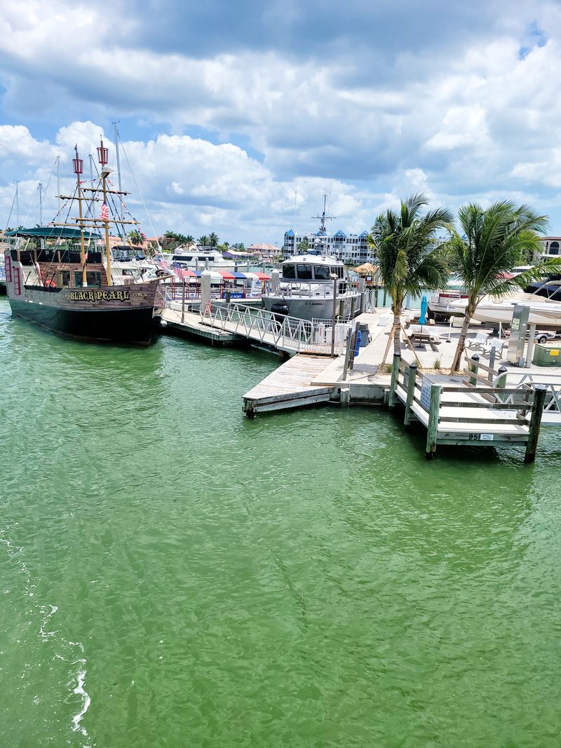 Best Tours and Experiences for Guaranteed Sightings