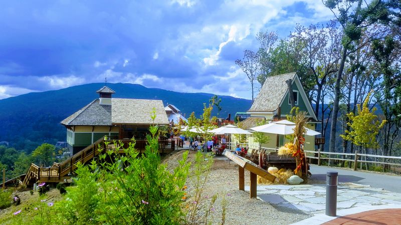 Why Gatlinburg Deserves a Spot on Your Winter Travel Bucket List