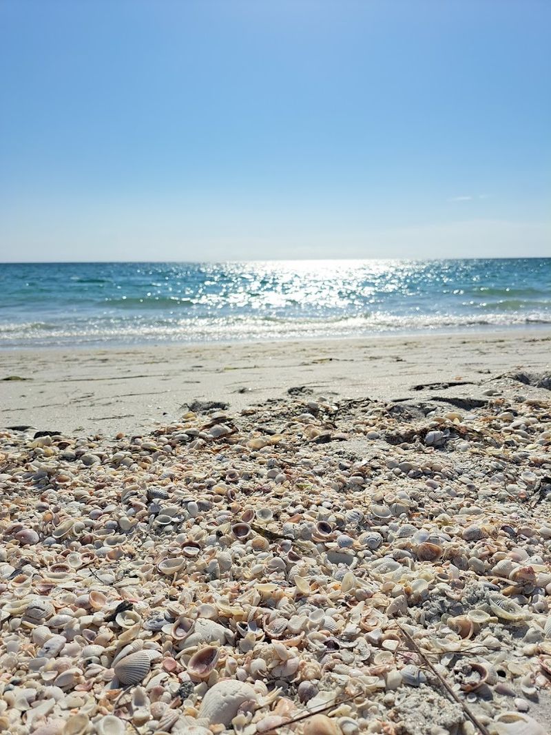 Gasparilla Island Arrival