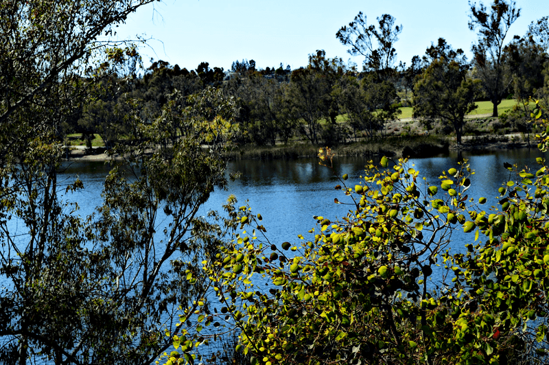 Lake Murray