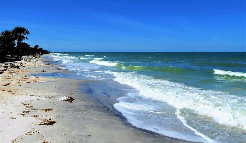 Caladesi Island State Park (Dunedin)