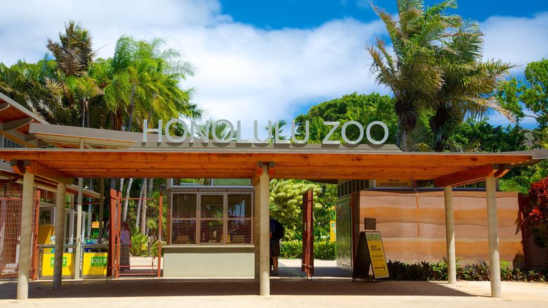Experience Wildlife at Honolulu Zoo