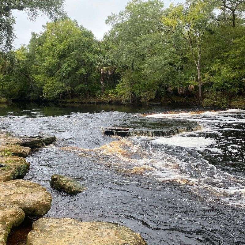Cross City to Steinhatchee Falls Spur