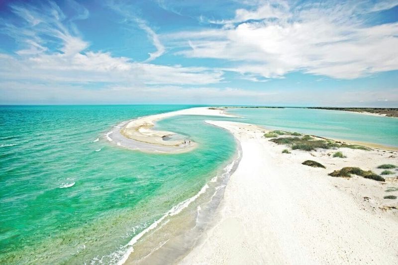 Honeymoon Island