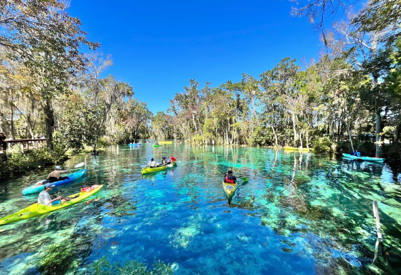 Crystal River - Manatee Swimming Paradise