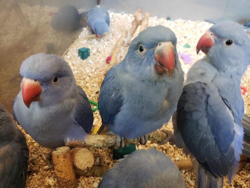 What to Expect During Your Visit