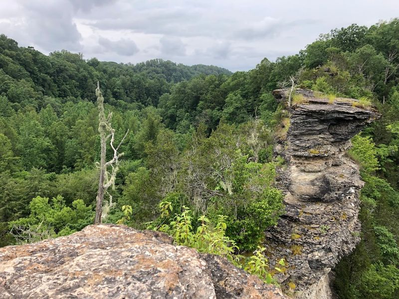 Window Cliffs State Natural Area (Baxter)