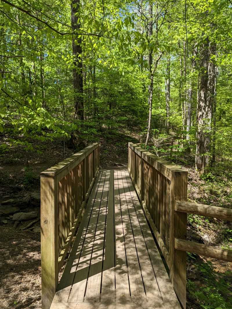 Burgess Falls Trail (Burgess Falls State Park) — Near Cookeville