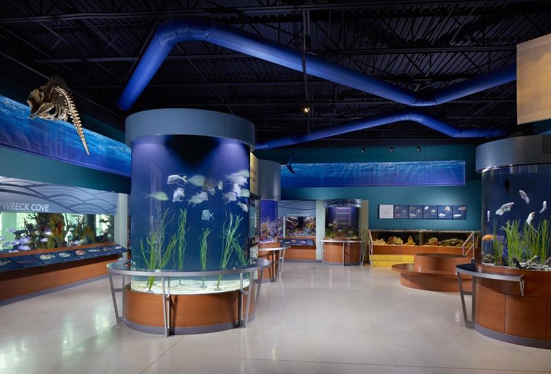 Book a behind-the-scenes tour at an aquarium or wildlife center