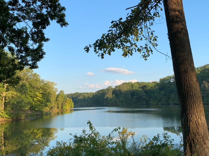 Meeman-Shelby Forest State Park (Millington)