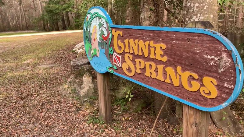High Springs area (Ginnie Springs / Santa Fe River)