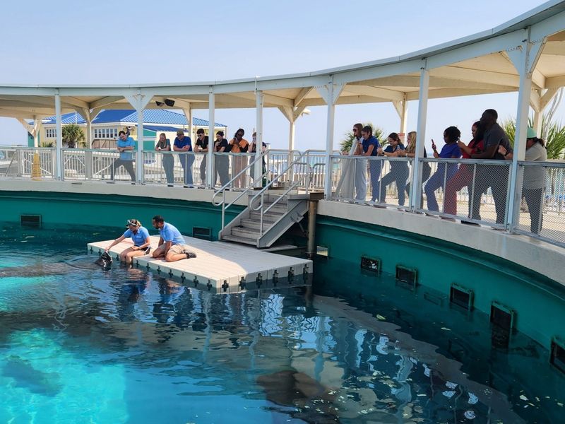 Why Romeo Matters For Conservation Education