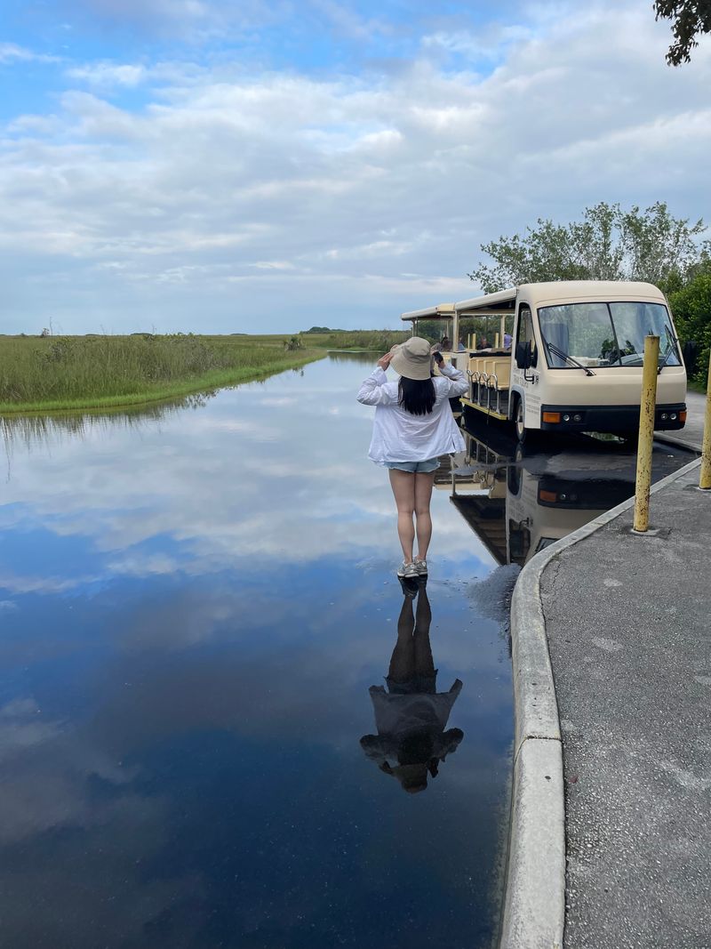 Renting Bikes or Taking the Tram
