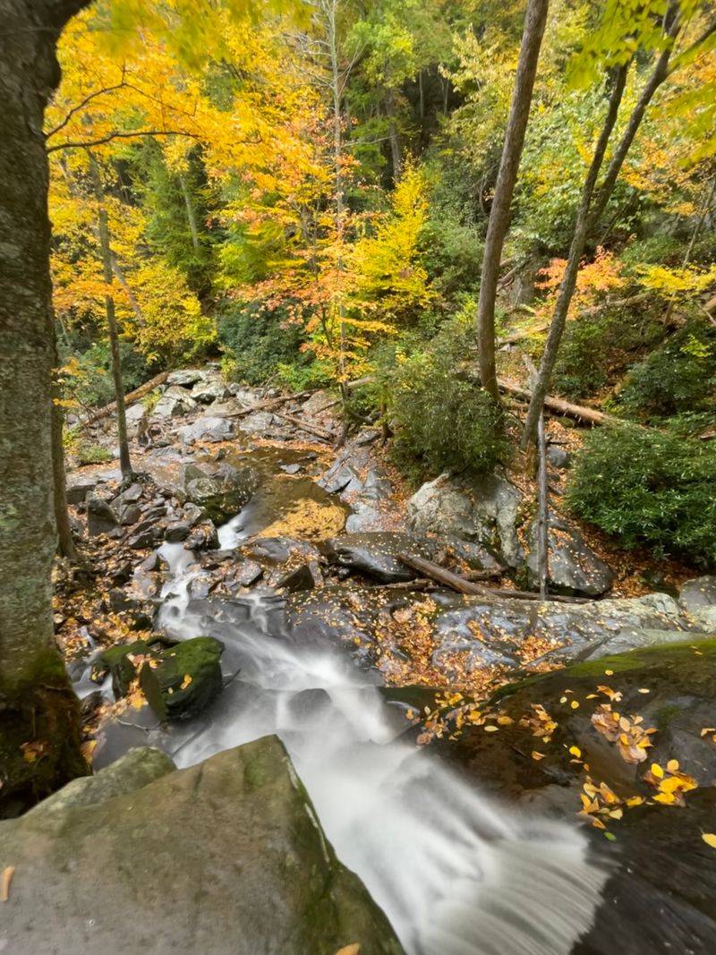 Laurel Falls Trail (Great Smoky Mountains National Park)